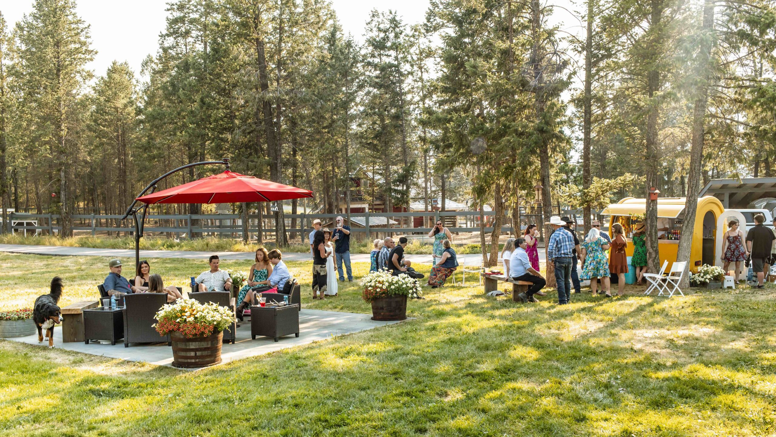 Sweet Mountain Ice_08