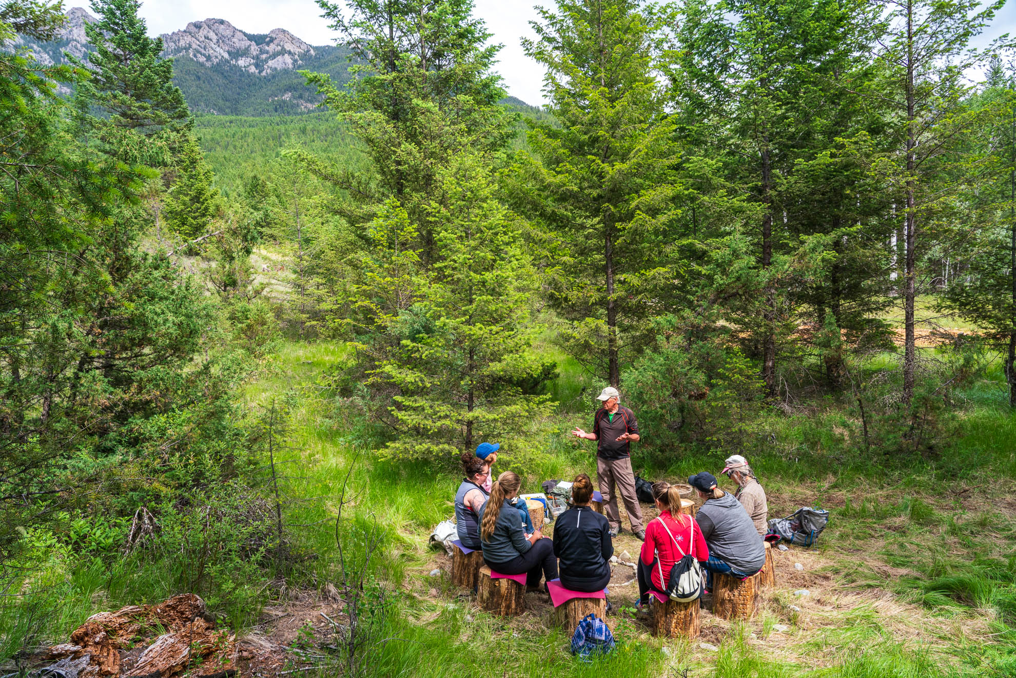Forest Therapy tour led by guide Pat Bavin, (Shinrin-Yoku - Japanese concept of Forest Bathing ) at Radius Retreat near Radium.
